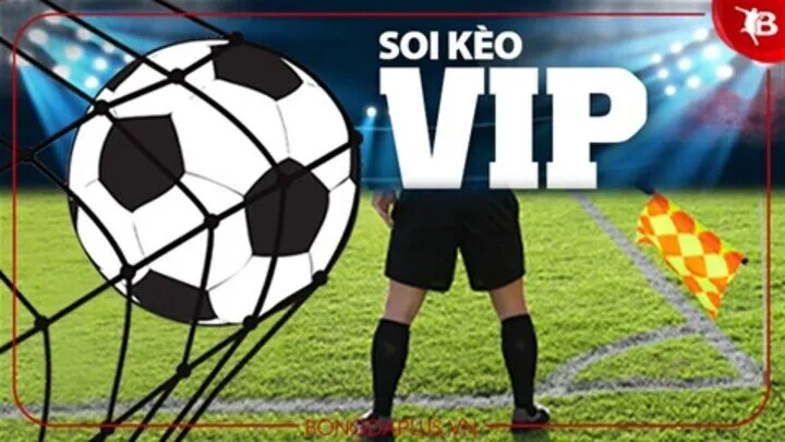 Nhận biết Kèo bóng đá VIP như thế nào? 