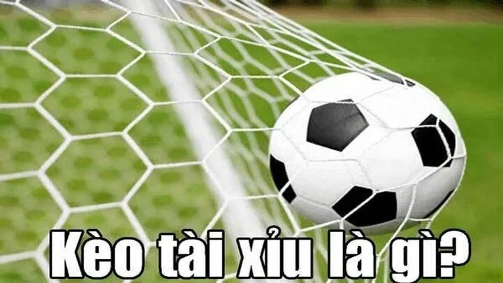 Khám phá chi tiết về Kèo Tài Xỉu